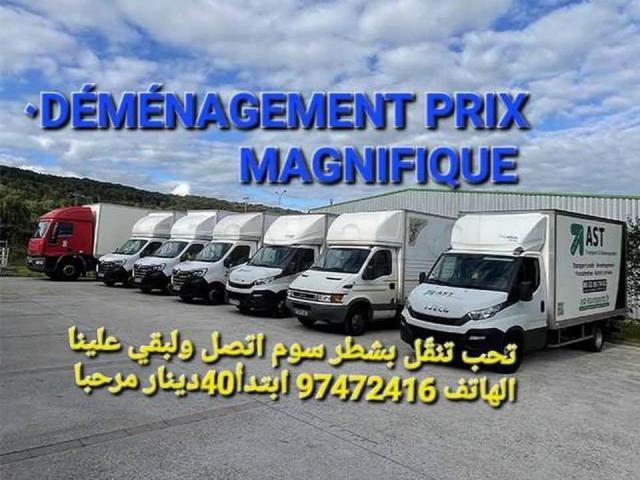 TRANSPORTEUR TÉLÉ 97 472416 TRANSPORTEUR TÉLÉ 97 472416