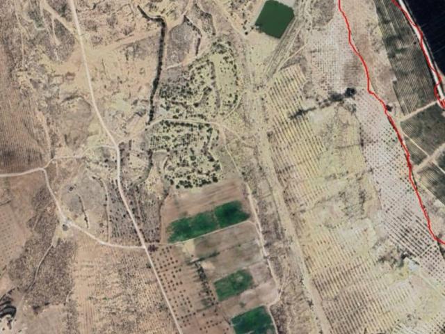 Un terrain agricole sbitla kasserine Un terrain agricole sbitla kasserine