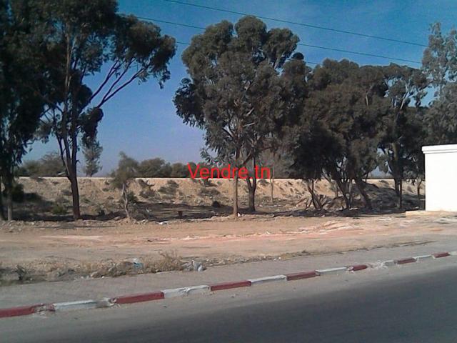 annonce pour Terrain à vendre de 5560 m2 à kairouan titre bleu annonce pour Terrain à vendre de 5560 m2 à kairouan titre bleu
