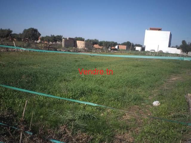 annonce pour vente terrain a hergla annonce pour vente terrain a hergla