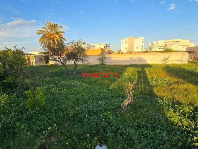 annonce pour terrain a vendre gremda sfax annonce pour terrain a vendre gremda sfax