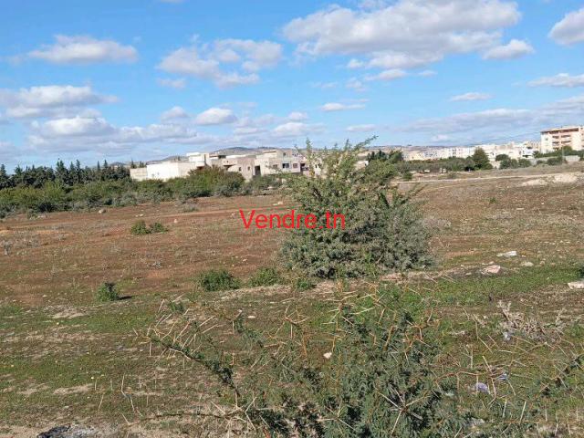 annonce pour vente de terrain manouba annonce pour vente de terrain manouba