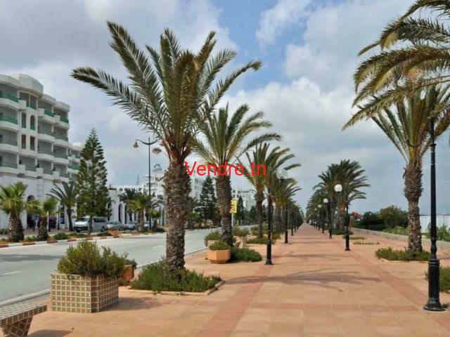 a hammamet sud a vendre un terrain occasion a saisir annonce a hammamet sud a vendre un terrain occasion a saisir annonce