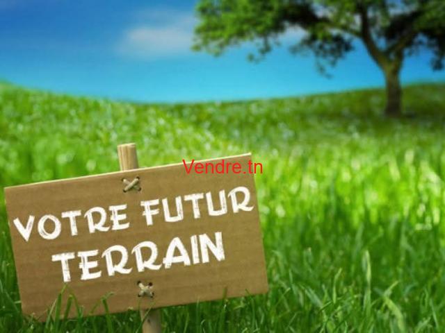 terrain 20 hectars a haouaria nabeul en ventre occasion terrain 20 hectars a haouaria nabeul en ventre occasion