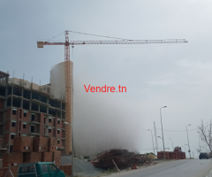 Grue à Tour  Liebherr