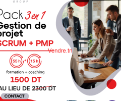 Pack 3en1 Exceptionnel: Scrum + PMP à prix réduit!