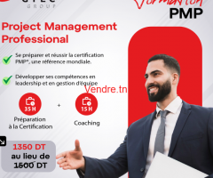 Formation PMP