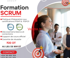 Formation Scrum PSM1 & PSPO1